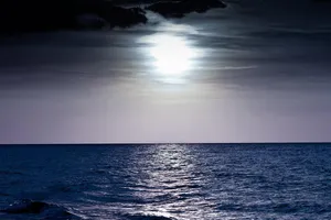 night sea jigsaw puzzle