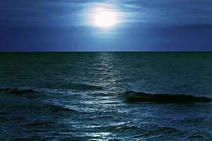 sea jigsaw puzzle