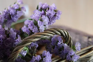 sea lavender jigsaw puzzle