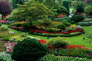 red and white flower garden jigsaw puzzle