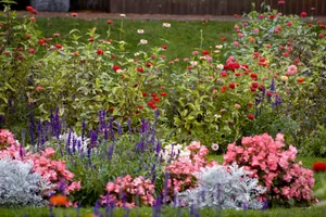 A garden filled with lots of colorful flowers jigsaw puzzle