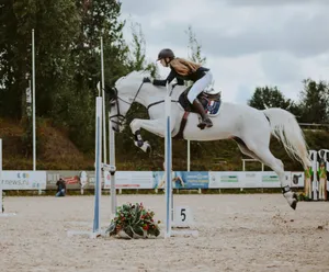 man riding white horse during daytime jigsaw puzzle