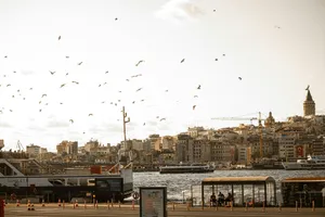 Birds soar over a city near water. jigsaw puzzle