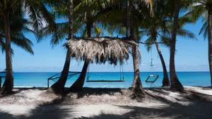 selective focus photography of hammock between coconut trees during daytime jigsaw puzzle