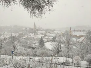 a view of a snowy town from a hill jigsaw puzzle