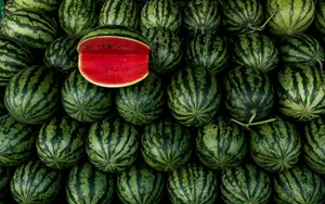 a large pile of watermelon with a piece of watermelon on top jigsaw puzzle