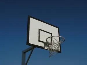 white and black basketball goal jigsaw puzzle