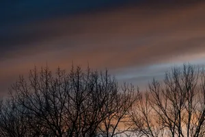 Peaceful winter twilight sky with silhouetted bare trees and gentle color gradient. jigsaw puzzle