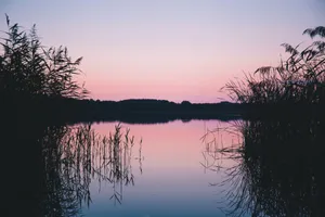 Serene twilight scene of a calm lake with stunning reflections and silhouettes of plants. jigsaw puzzle