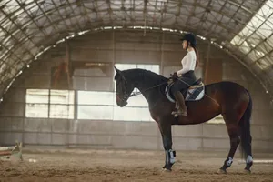 Woman in a riding hall training on a horse. Side view illustrating equestrian skills. jigsaw puzzle