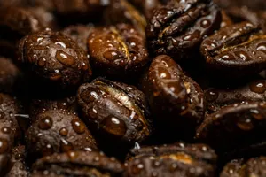 Detailed macro shot of wet coffee beans with water droplets highlighting texture. jigsaw puzzle