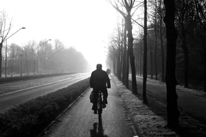 A dramatic black and white photo of cyclists riding down a shadowy, tree-lined path in the misty morning. jigsaw puzzle