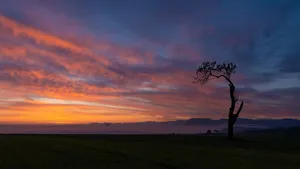 sunrise jigsaw puzzle