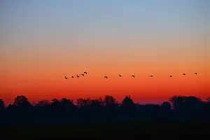 sky jigsaw puzzle