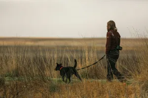 woman in brown jacket and black pants walking with black labrador retriever on brown grass field jigsaw puzzle