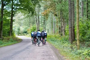 people riding bicycles on road during daytime jigsaw puzzle