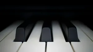 piano keys jigsaw puzzle