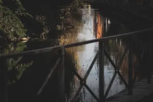 Fenced bridge crossing rippling river washing shore covered with plants reflecting in water jigsaw puzzle
