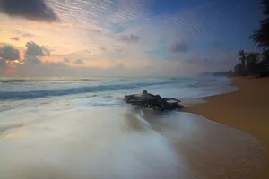 Peaceful seascape with driftwood and waves at sunrise, vibrant sky reflecting over a tranquil beach. jigsaw puzzle